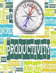 Personal Productivity & Leadership on Job (PU-254)