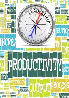 Personal Productivity & Leadership on Job (PU-254)